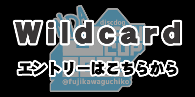 JC2026ワイルドカード